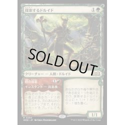 画像1: [EX](FOIL)(ショーケース枠)探索するドルイド/Questing Druid《日本語》【WOE】