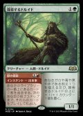 [EX](FOIL)探索するドルイド/Questing Druid《日本語》【WOE】