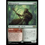 探索するドルイド/Questing Druid《日本語》【WOE】