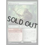[EX](FOIL)探索するドルイド/Questing Druid《日本語》【WOE】