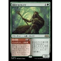 (FOIL)探索するドルイド/Questing Druid《日本語》【WOE】