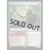 [EX](FOIL)探索するドルイド/Questing Druid《日本語》【WOE】