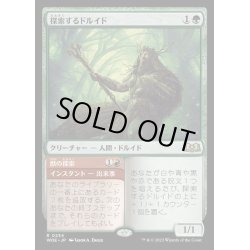 画像1: [EX](FOIL)探索するドルイド/Questing Druid《日本語》【WOE】