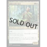 樹海の自然主義者/Jukai Naturalist《日本語》【WOC】