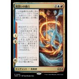 (FOIL)見習いの愚行/The Apprentice's Folly《日本語》【WOE】