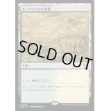サングラスの大草原/Sungrass Prairie《日本語》【WOC】