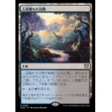 人里離れた谷間/Secluded Glen《日本語》【WOC】