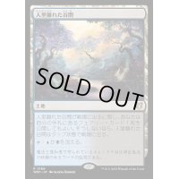 [EX+]人里離れた谷間/Secluded Glen《日本語》【WOC】