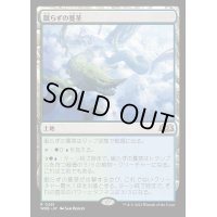 [EX+](FOIL)眠らずの蔓茎/Restless Vinestalk《日本語》【WOE】