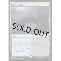 詰まった河口/Choked Estuary《日本語》【WOC】