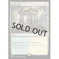 [EX+]豊潤の神殿/Temple of Plenty《日本語》【WOC】