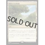 風変わりな果樹園/Exotic Orchard《日本語》【WOC】