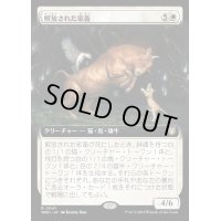 [EX+](FOIL)(フルアート)解放された家畜/Liberated Livestock《日本語》【WOC】