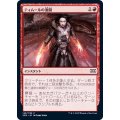 (FOIL)ティムールの激闘/Temur Battle Rage《日本語》【2XM】