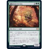 [EX+]血胞子のトリナクス/Bloodspore Thrinax《日本語》【2XM】