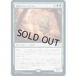 画像1: [EX+]血胞子のトリナクス/Bloodspore Thrinax《日本語》【2XM】