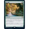 (FOIL)春の鼓動/Heartbeat of Spring《日本語》【2XM】