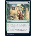 (FOIL)激励/Invigorate《日本語》【2XM】