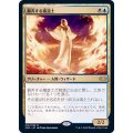 [EX+](FOIL)翻弄する魔道士/Meddling Mage《日本語》【2XM】