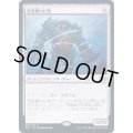 [EX](FOIL)荒廃鋼の巨像/Blightsteel Colossus《日本語》【2XM】