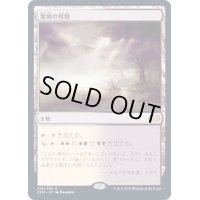 [PLD]悪臭の荒野/Fetid Heath《日本語》【2XM】