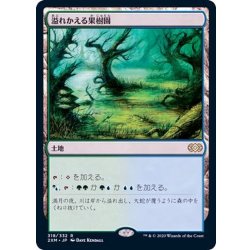 画像1: 溢れかえる果樹園/Flooded Grove《日本語》【2XM】
