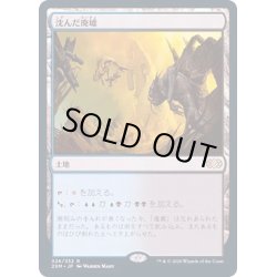 画像1: [PLD]沈んだ廃墟/Sunken Ruins《日本語》【2XM】