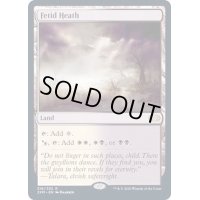 悪臭の荒野/Fetid Heath《英語》【2XM】