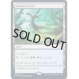 [EX+](FOIL)溢れかえる果樹園/Flooded Grove《英語》【2XM】