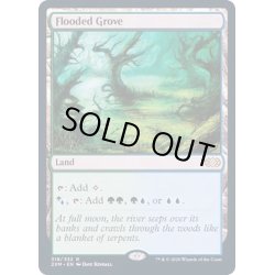 画像1: [EX+](FOIL)溢れかえる果樹園/Flooded Grove《英語》【2XM】