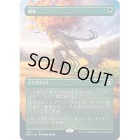 [EX](フルアート)輪作/Crop Rotation《日本語》【2XM】
