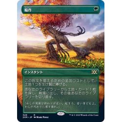 画像1: [EX+](フルアート)輪作/Crop Rotation《日本語》【2XM】