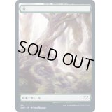 (FOIL)(382)森/Forest《日本語》【2XM】
