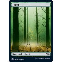 [EX+](FOIL)(381)森/Forest《英語》【2XM】