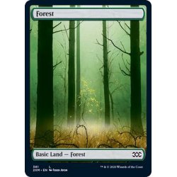 画像1: [EX+](FOIL)(381)森/Forest《英語》【2XM】