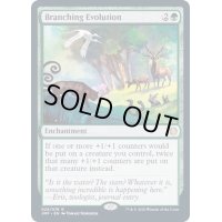 [PLD]枝分かれの進化/Branching Evolution《英語》【JMP】