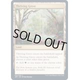 [EX+]興隆する木立/Thriving Grove《英語》【JMP】