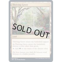 [EX+]興隆する木立/Thriving Grove《英語》【JMP】
