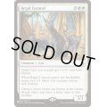 [EX+]威厳あるカラカル/Regal Caracal《英語》【Reprint Cards(The List)】