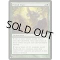 野生の活力/Primal Vigor《英語》【Reprint Cards(The List)】