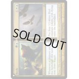 唯々+諾々/Beck+Call《英語》【Reprint Cards(The List)】