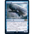 (FOIL)追われる鯨/Pursued Whale《日本語》【M21】