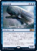 追われる鯨/Pursued Whale《日本語》【M21】