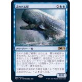 [EX+]追われる鯨/Pursued Whale《日本語》【M21】