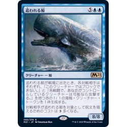 画像1: (FOIL)追われる鯨/Pursued Whale《日本語》【M21】