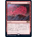 (FOIL)異形化/Transmogrify《日本語》【M21】