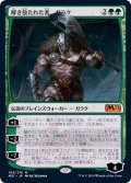 解き放たれた者、ガラク/Garruk, Unleashed《日本語》【M21】