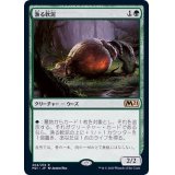 漁る軟泥/Scavenging Ooze《日本語》【M21】