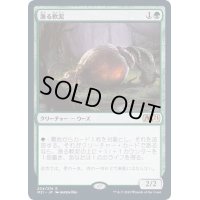 (プロモスタンプ)漁る軟泥/Scavenging Ooze《日本語》【M21】