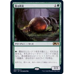 画像1: [EX+]漁る軟泥/Scavenging Ooze《日本語》【M21】